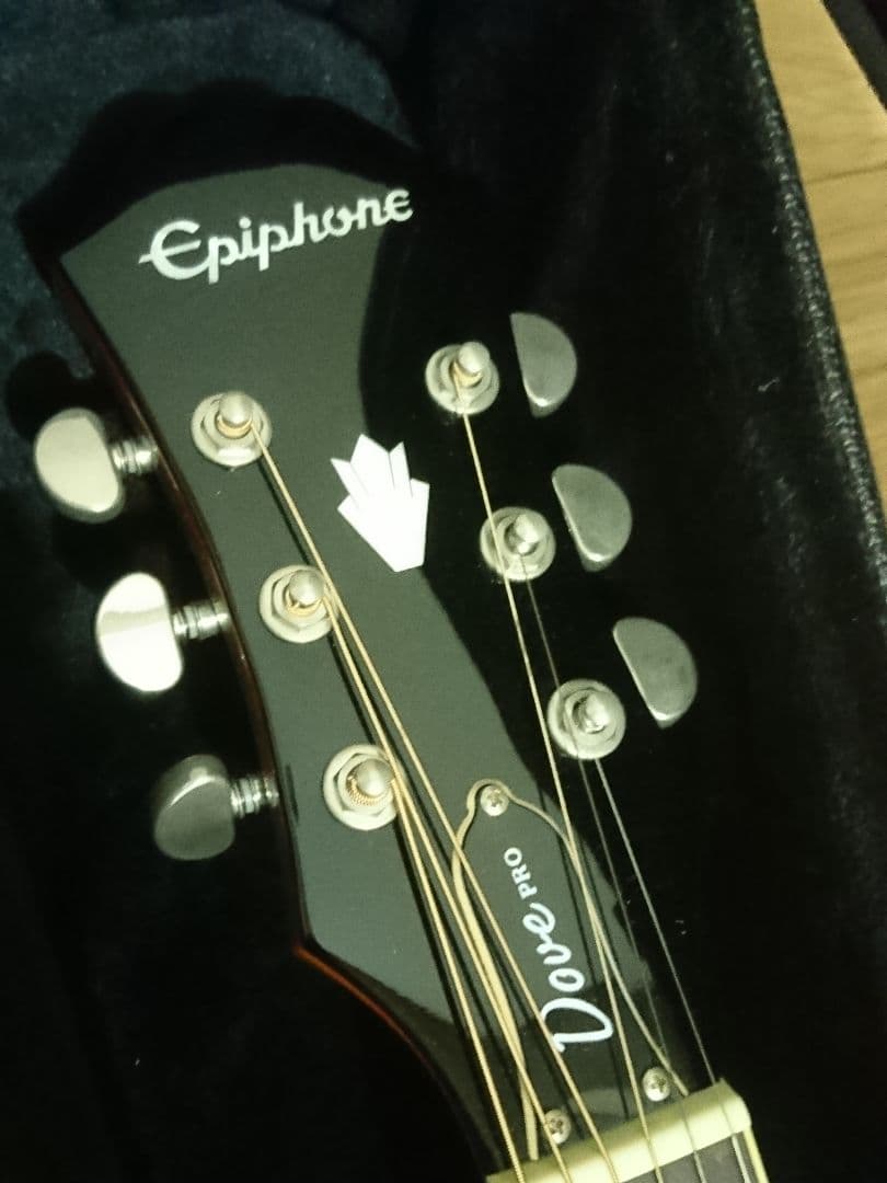 とにかくキレイ❗Epiphone Dove Pro アコースティックギターとにかく