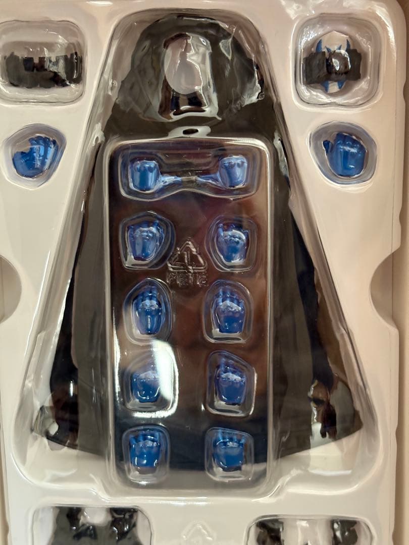 すいげつ　S.H.Figuarts 真骨彫製法 仮面ライダーエターナル