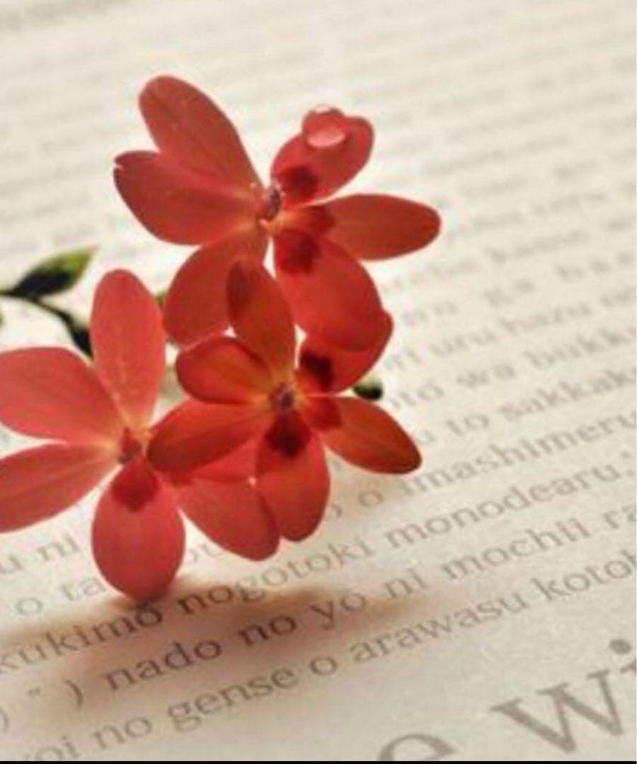 yu☆ ミルク ST M3 99224_1200x1200.png?v=1657921571