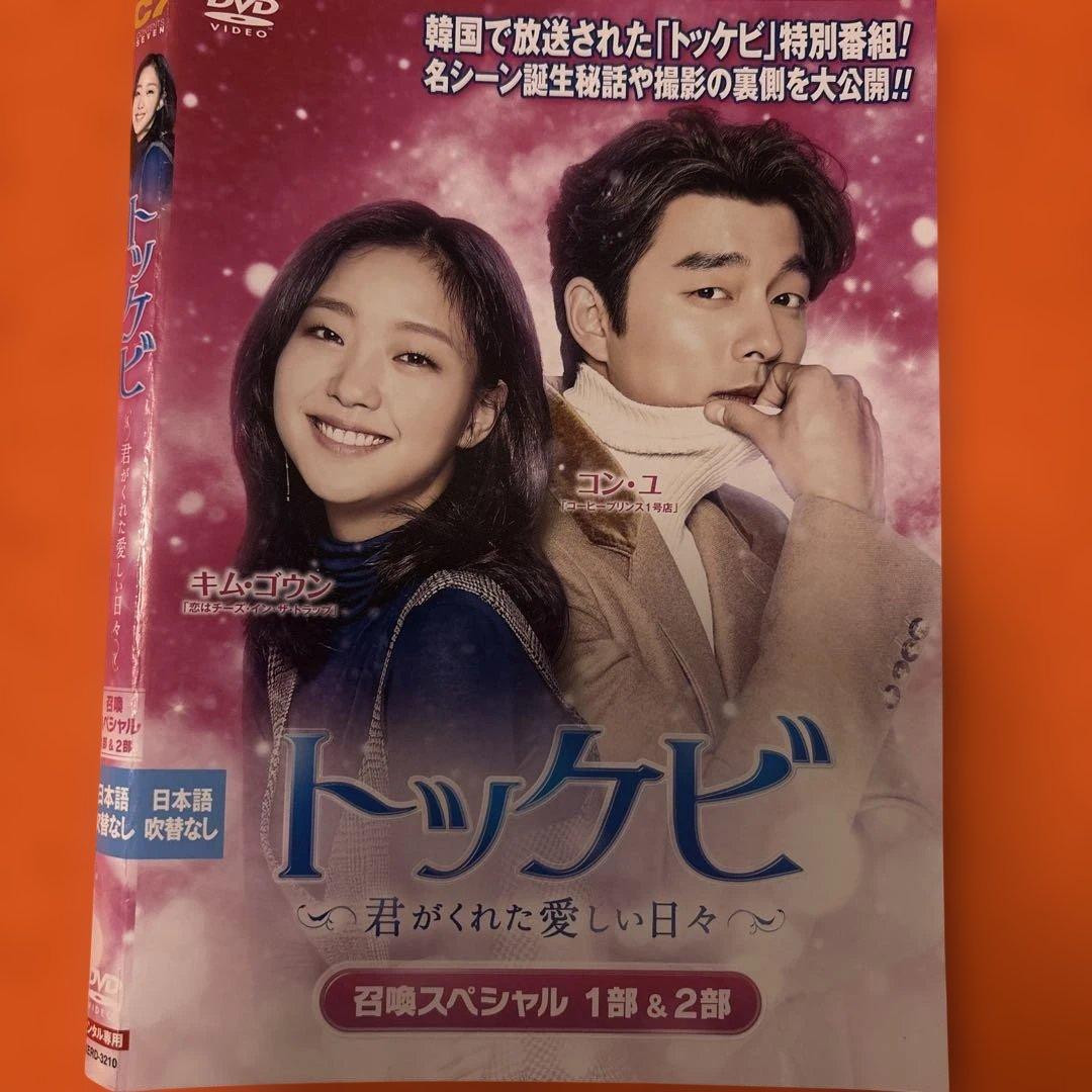 トッケビ 君がくれた愛しい日々 DVD 全巻セット+召喚スペシャル コン