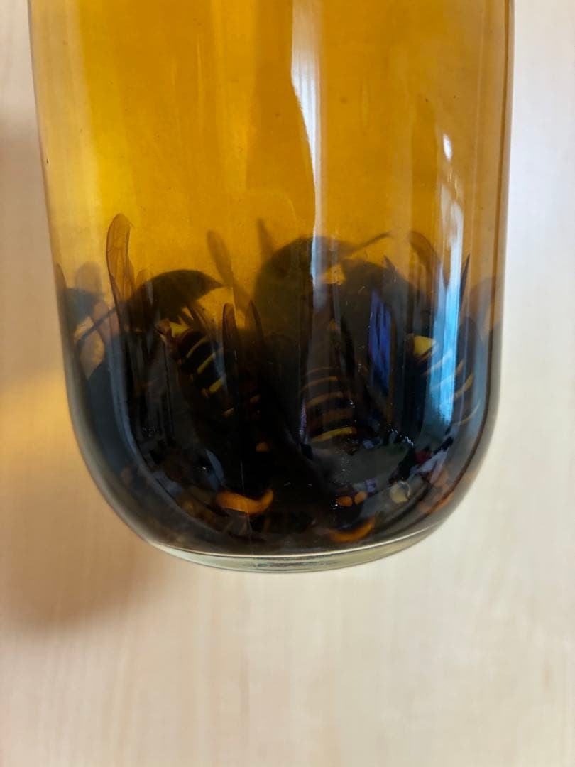 35年熟成 蜂酒 オオスズメバチ酒