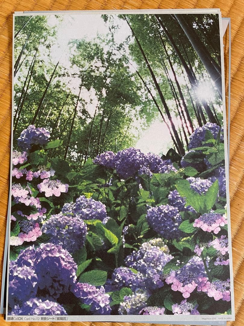 希少品】銀魂 Cell DX 桂小太郎 セルデラックス - メルカリ