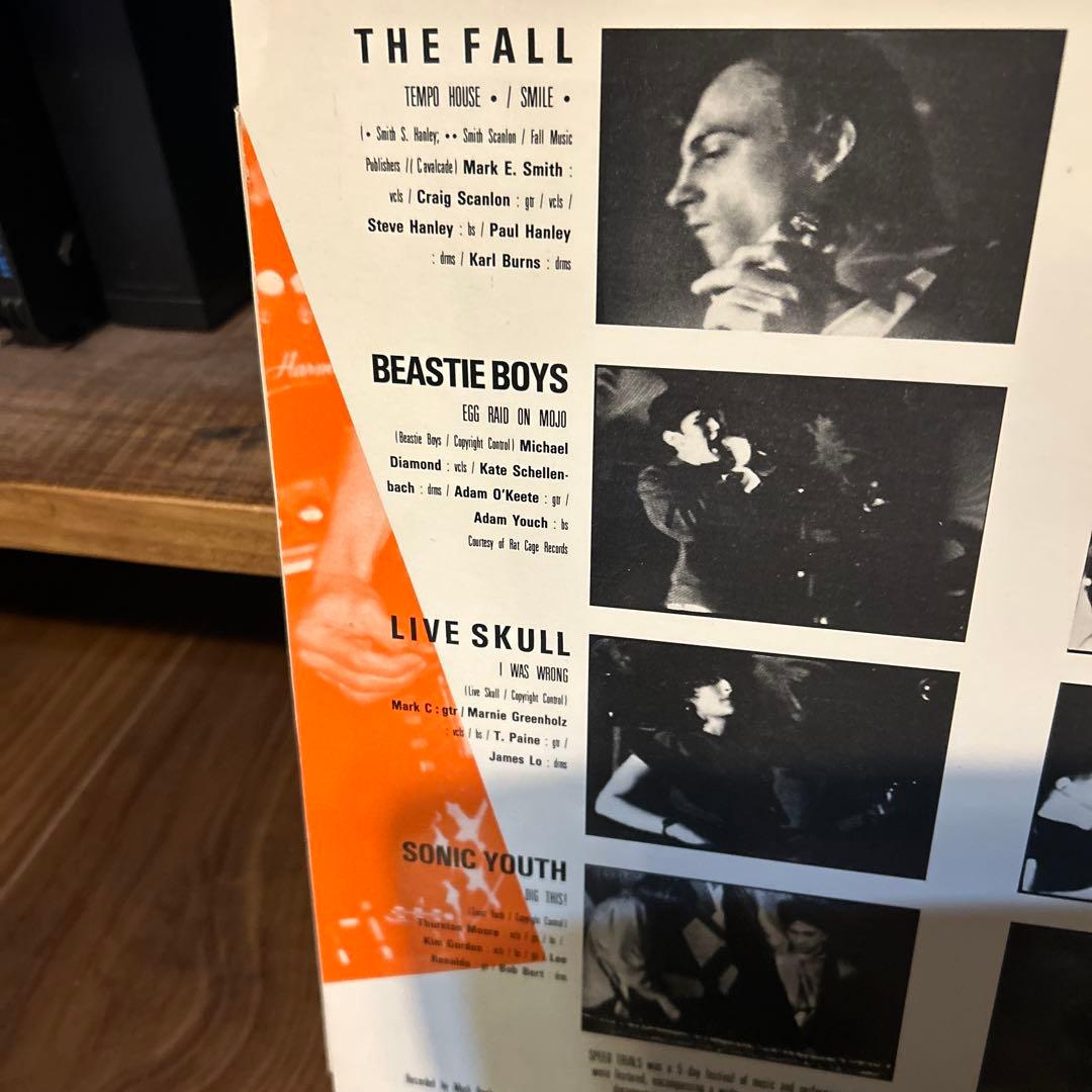 beastie boys sonic youth lydia lunch