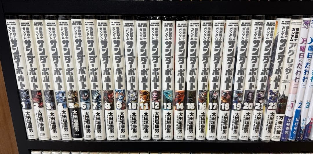 機動戦士ガンダム サンダーボルト 全22巻+アグレッサー1巻 機動戦士ガンダム サンダーボルト 全22巻+アグレッサー1巻 Amazon.co