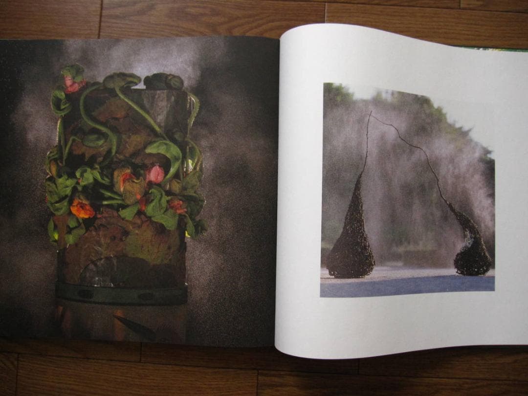 Leafing throuth Flowers DANIEL OST サイン入り - メルカリ