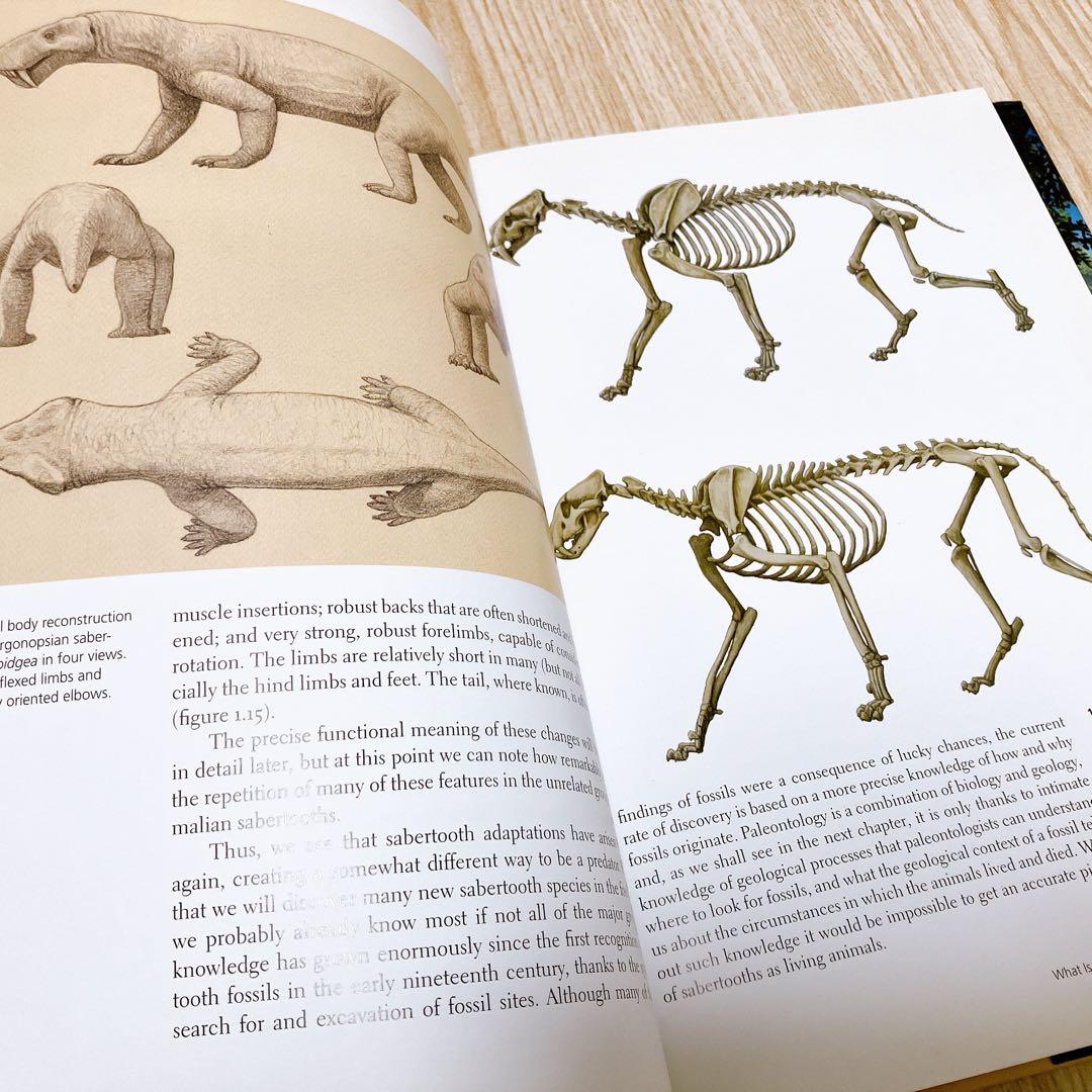 SABERTOOTH サーベルタイガー図解 MAURICIO ANTÓN - メルカリ