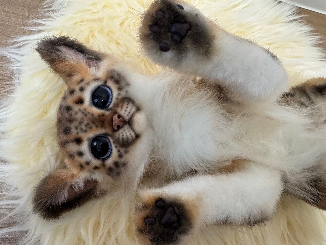 海外作家様 アートドール ヒョウ - メルカリ