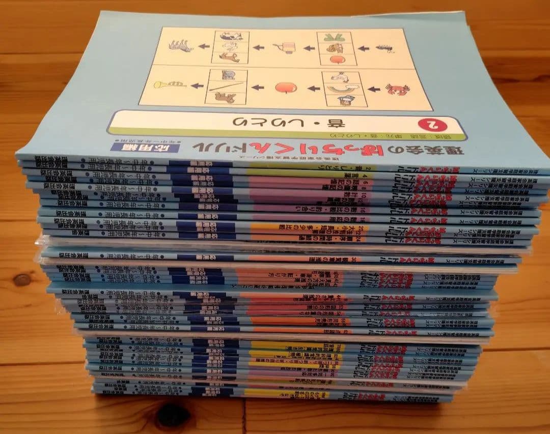 理英会　ばっちりくんドリル　応用編 単元別ばっちりくんドリル 応用編セット｜小学校受験 合格対策問題集