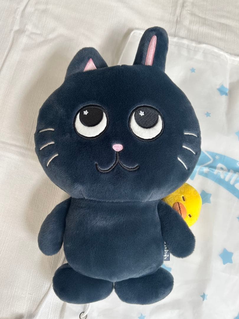 RIIZE ウォンビン トニャンドク 40cm ぬいぐるみ Amazon.co.jp: RIIZE ウォンビン トニャンドク ぬいぐるみ : おもちゃ