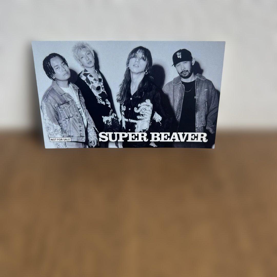 スーパービーバー ステッカー - メルカリ