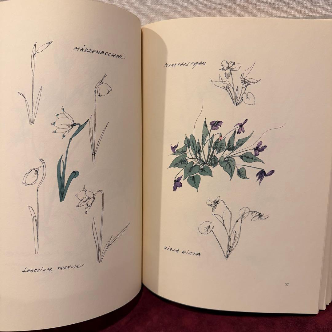 224③1957年ドイツ植物図鑑 植物画 洋書 ジャンクジャーナル ボタン