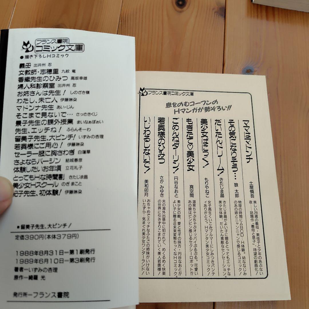 希少 留美子先生大ピンチ！留美子奥様大ピンチフランス書院コミック文庫