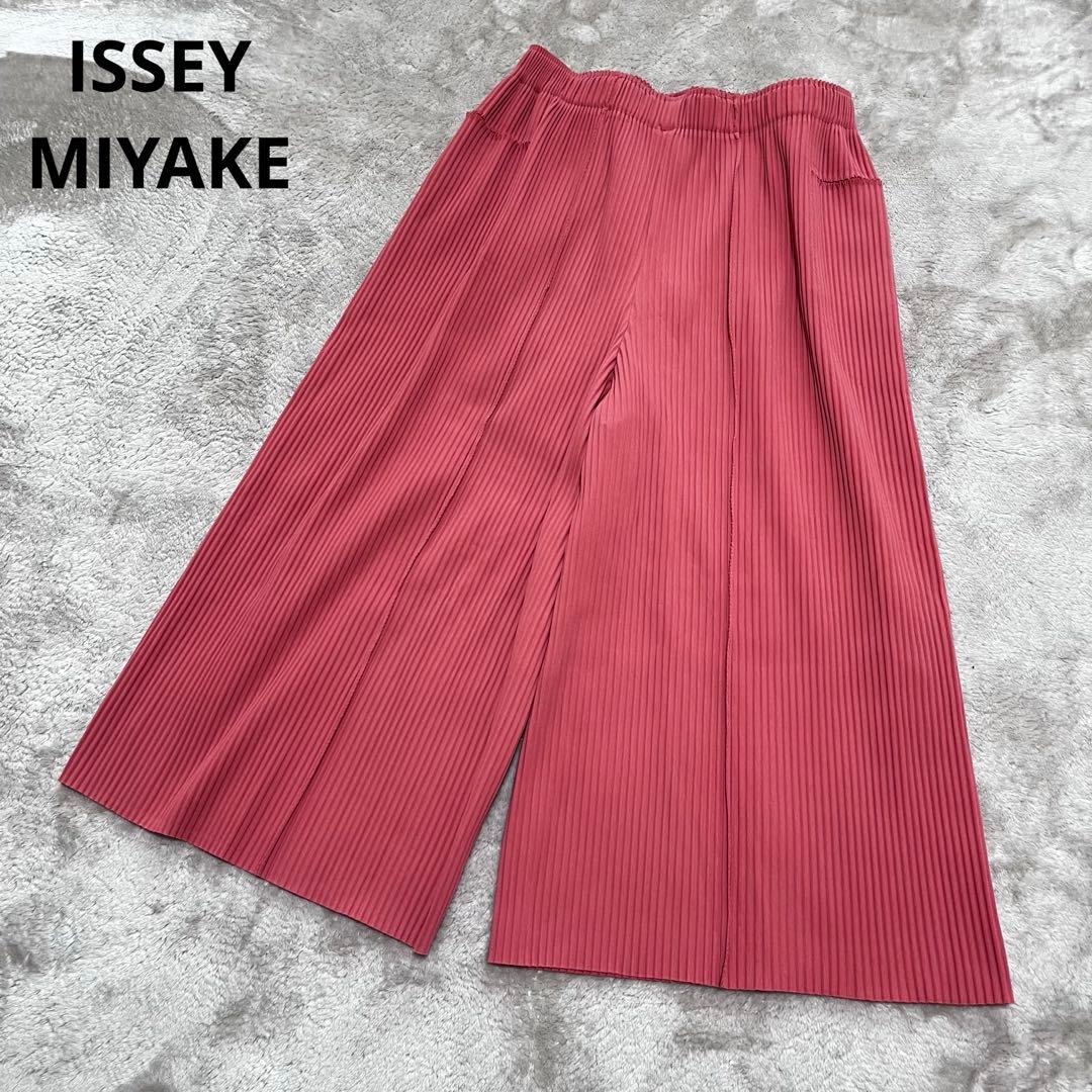 美品　イッセイミヤケ　me プリーツ　ワイドパンツ　ガウチョFINE KNIT 美品 イッセイミヤケ me プリーツ ワイドパンツ ガウチョFINE KNIT