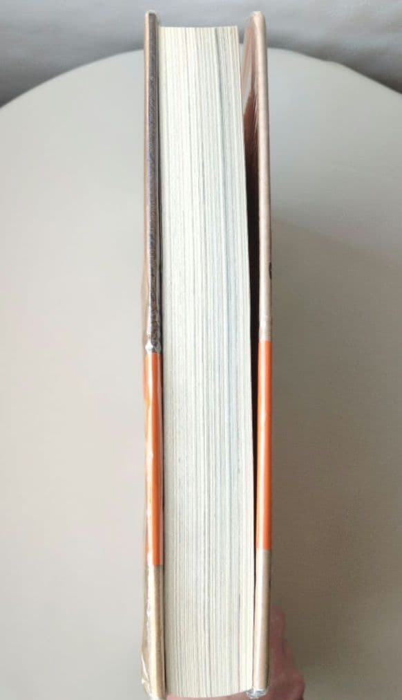 洋書　漫画　The Wonderful World of Bill Ward