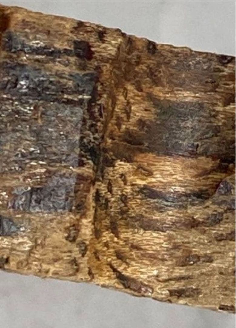 沈香　香木　タニ　三種　お香　3.4グラム 楽天市場】【沈香・香木】タニ沈香（約288グラム 長さ約17.5センチ