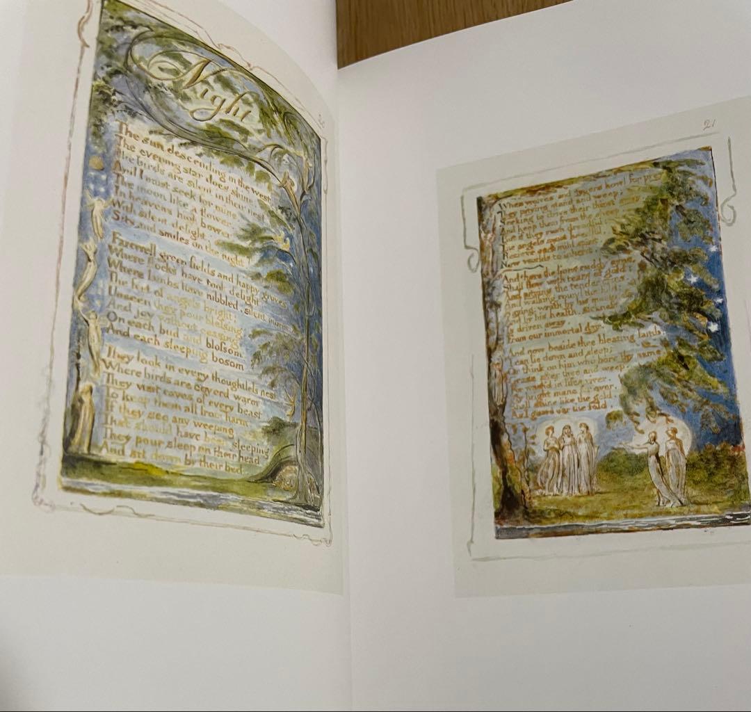 William Blake画集（洋書）ウィリアム•ブレイク - メルカリ