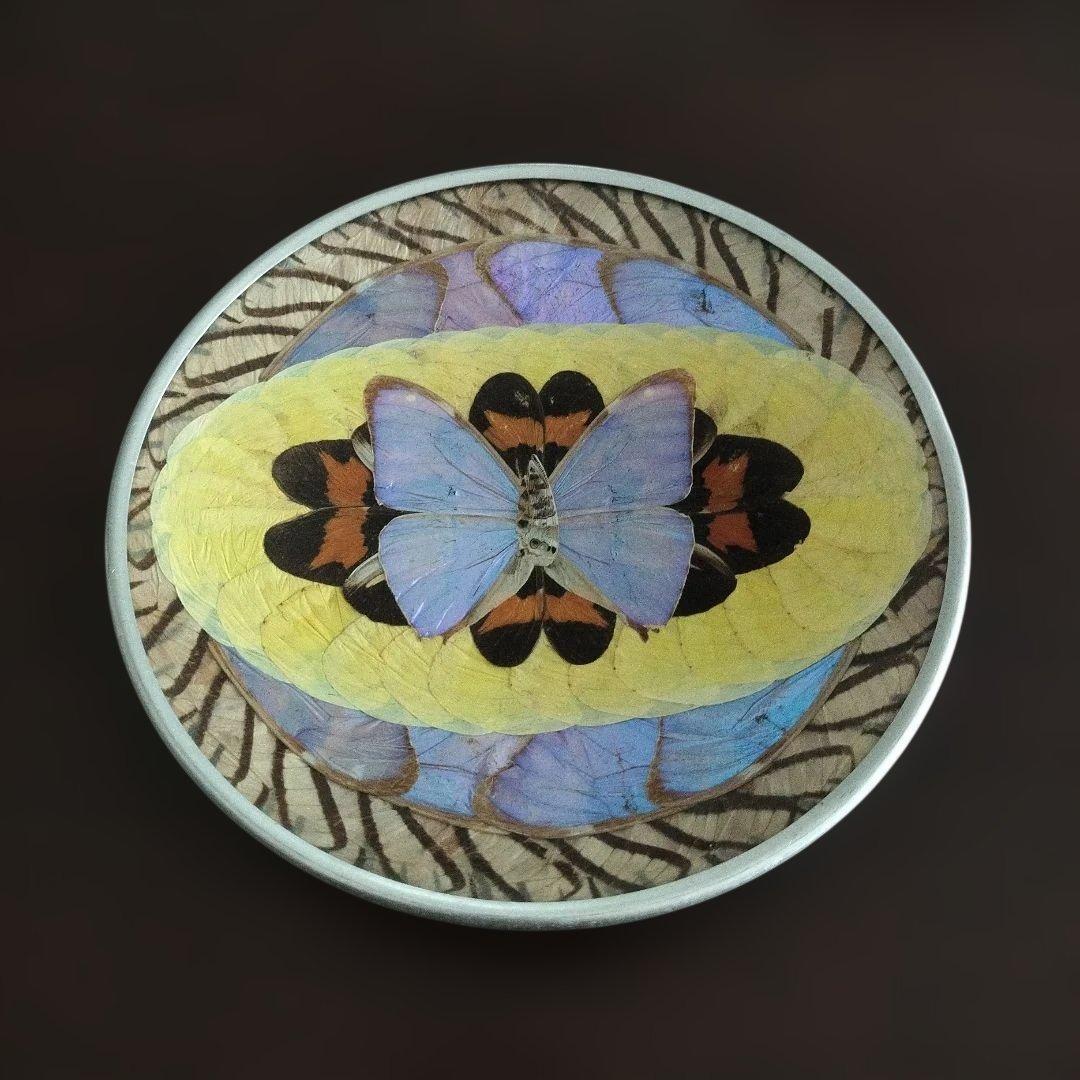 ブラジル 蝶 飾り皿 工芸品 羽細工 - メルカリ