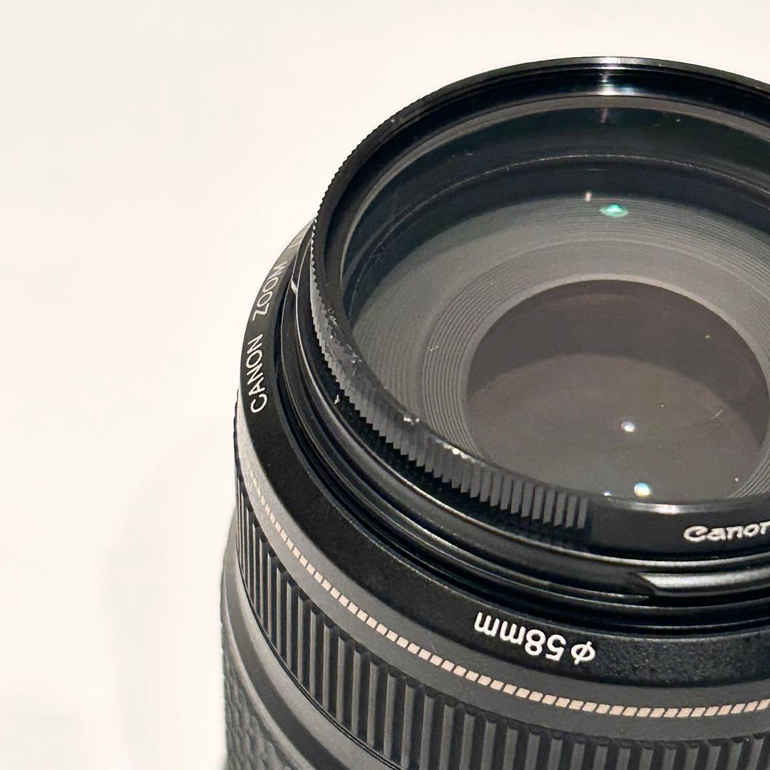 Canon EF 75-300mm f/4-5.6 IS ズームレンズ