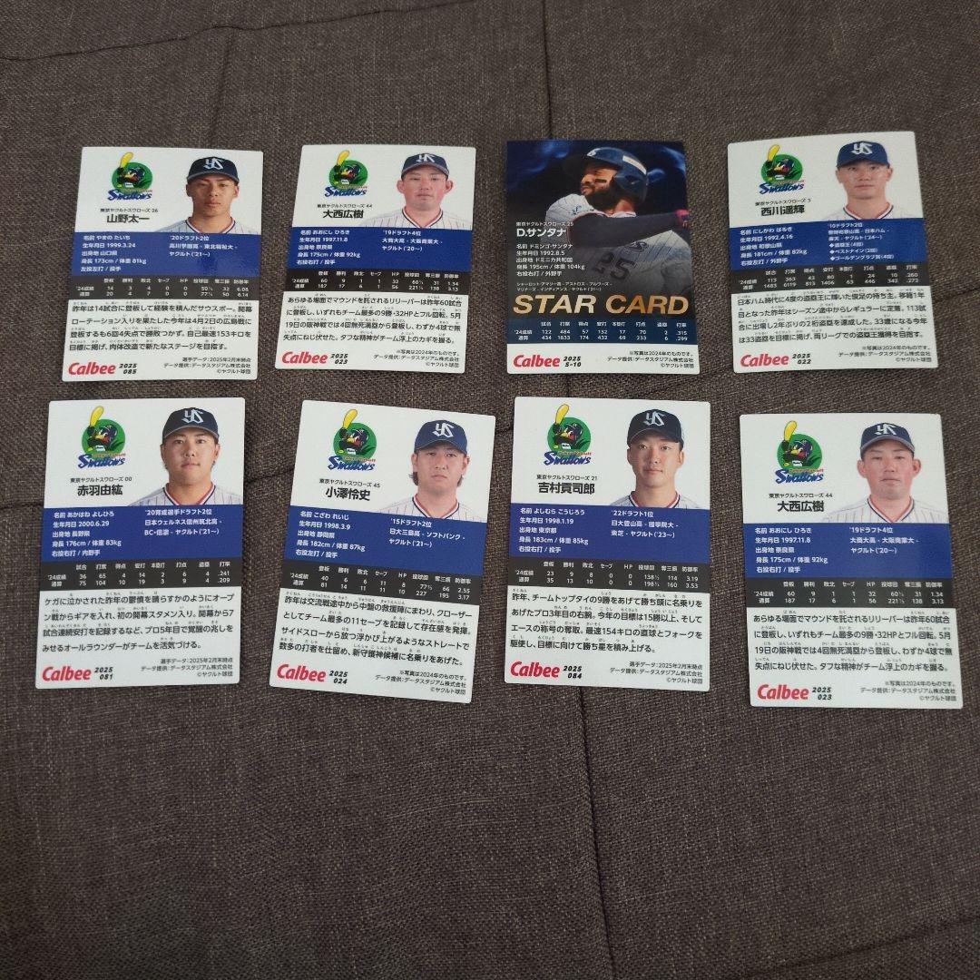 カルビー プロ野球 チップスカード ヤクルトスワローズ - メルカリ