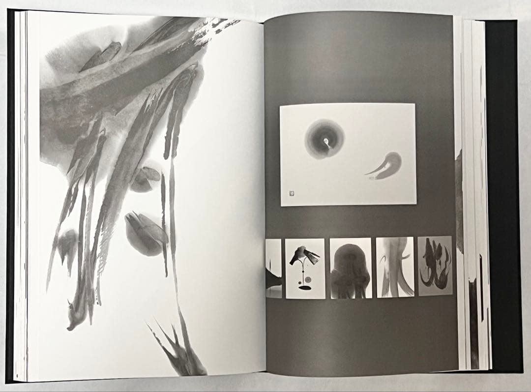 エディションナンバー入り】長野オリ書道家 増永広春氏作品集 走墨