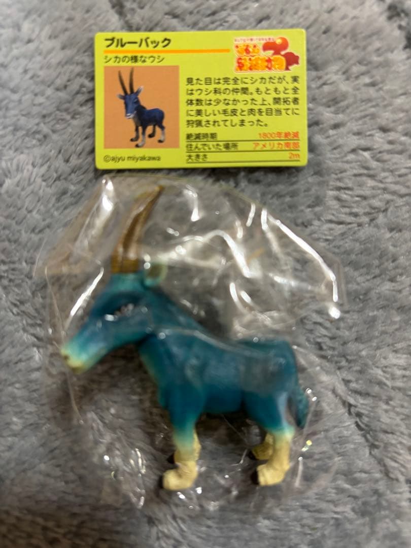 戦え絶滅動物PART3 宮川アジュ モア スミロドン サーベルタイガー ライオン