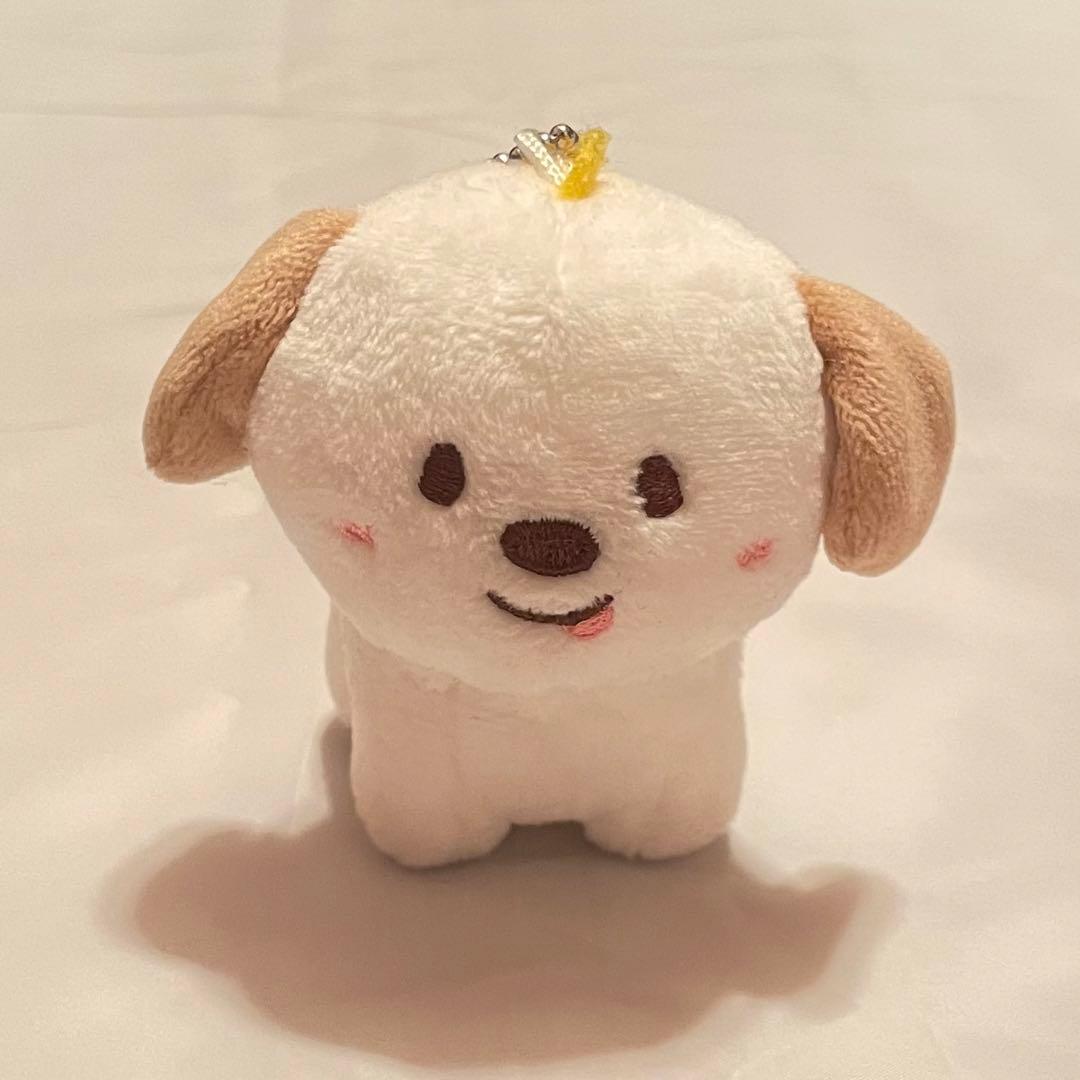 RIIZE アントン ぬいぐるみ モンリョンイ - メルカリ