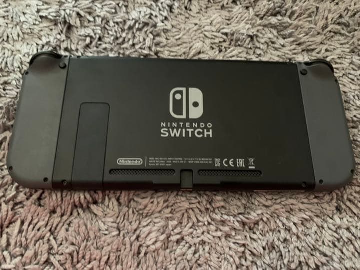 ニンテンドースイッチ Nintendo Switch セット 動作確認済み 本体