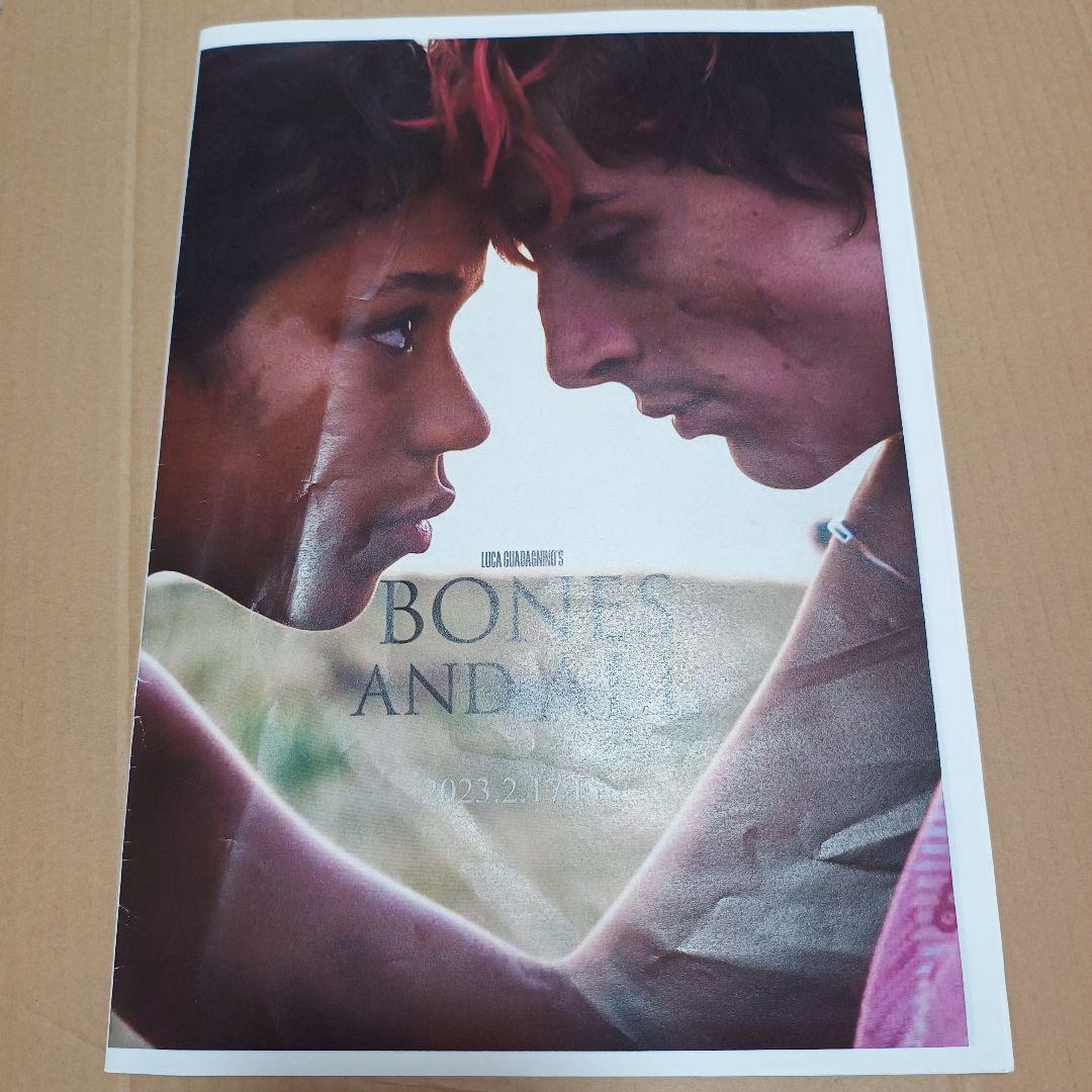 ティモシー・シャラメ 最新作マーティシュプリーム含む非売品プレス