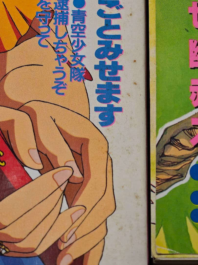 徳間書店 アニメージュ(平成6年) 12冊まとめ売り - メルカリ