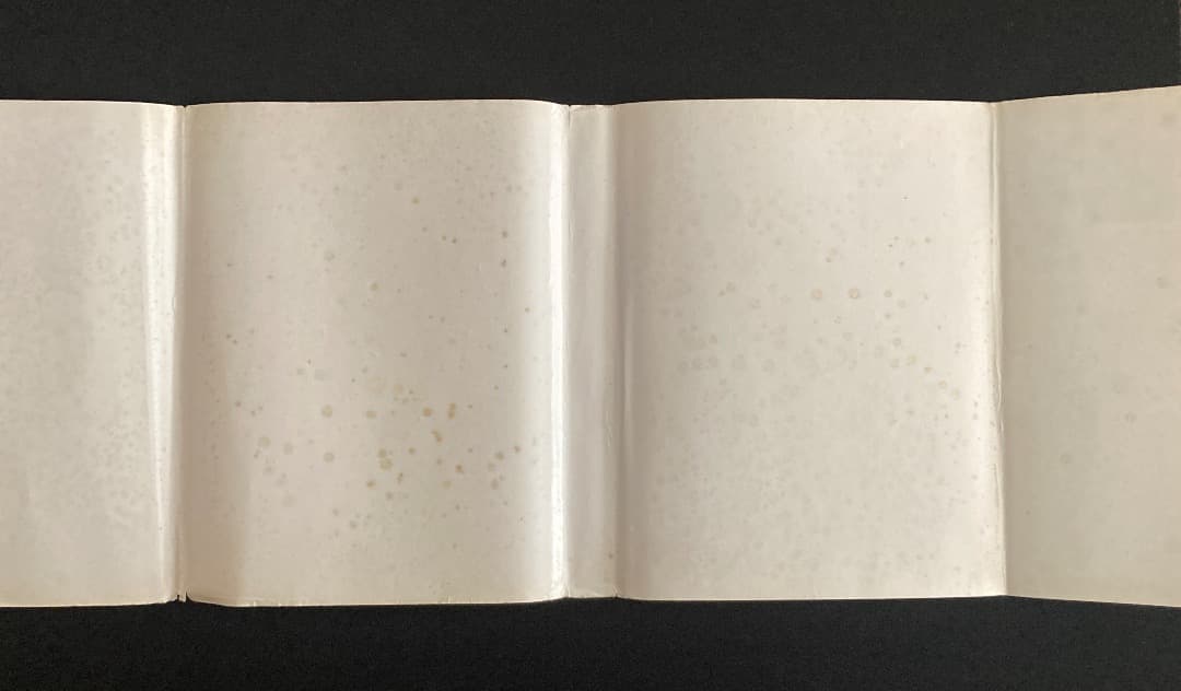 No.696《おすすめ》『（伊文）イル・ラガッツォ　少年の美と性愛について』