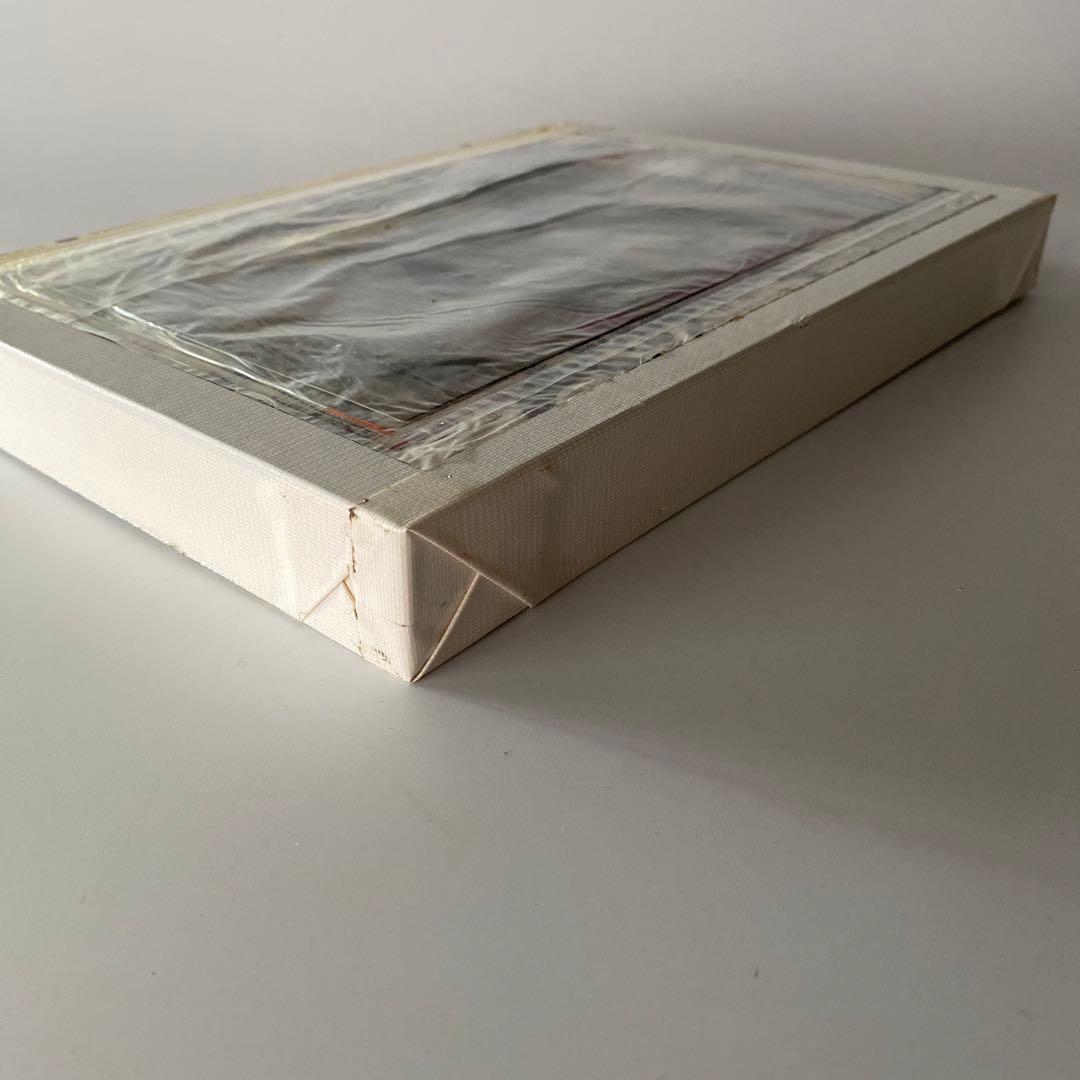 WERK No.23: MASAHO ANOTANI 安野谷昌穂 ギャルソン