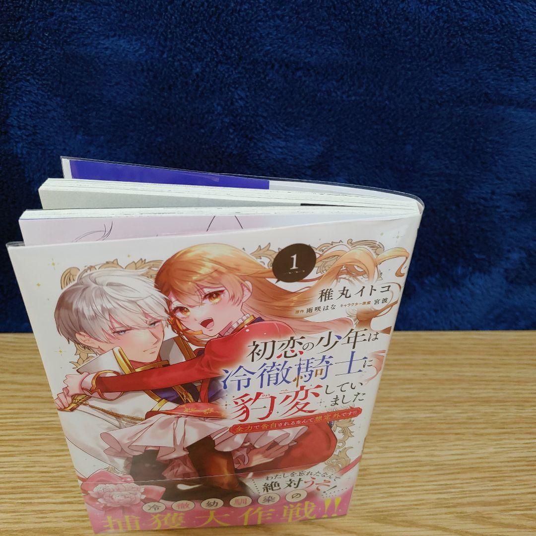 初恋の少年は冷徹騎士に豹変していました 1 全力で告白されるなんて