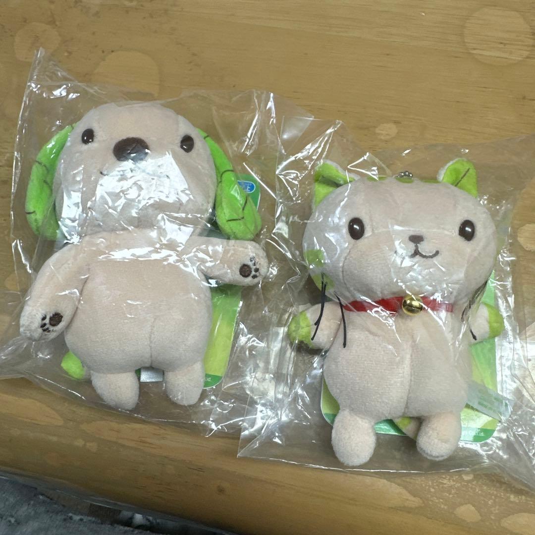 スギ薬局 キャラクター スーギースーニャ 激レア ぬいぐるみ 入手困難