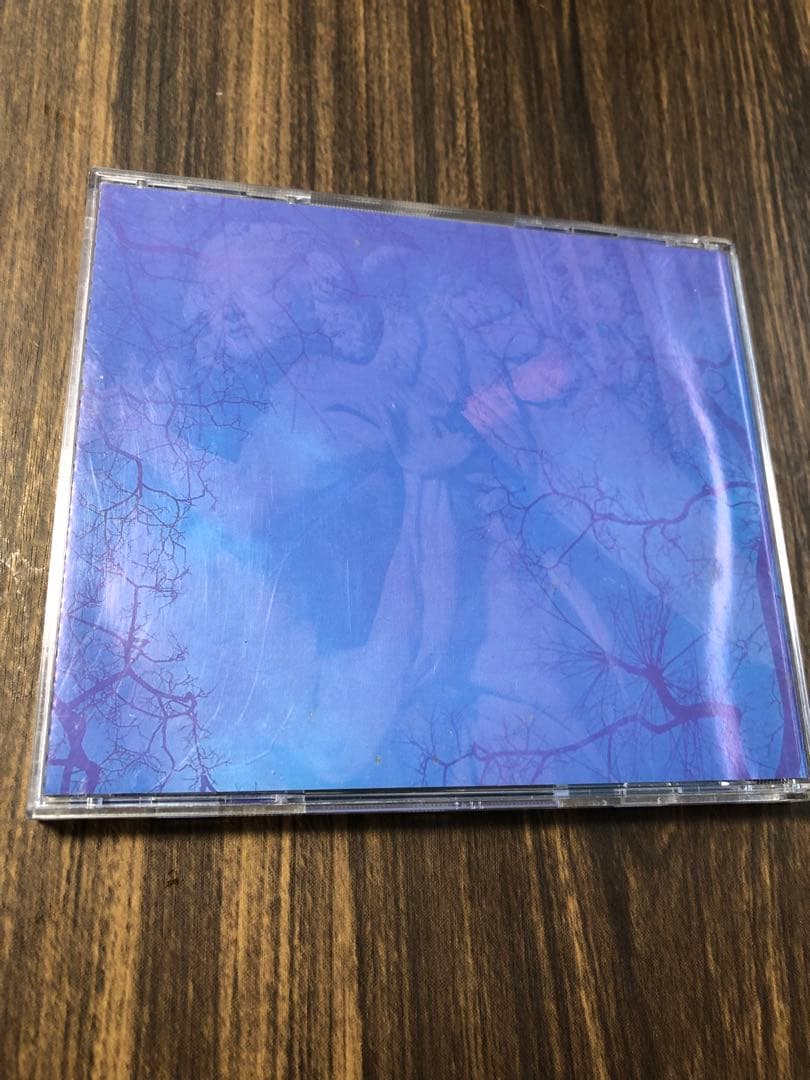 LUNA SEA インディーズ　初回限定写真集付