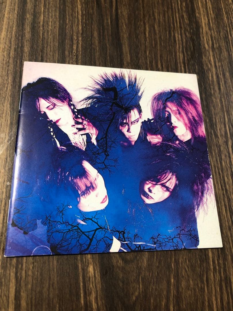 LUNA SEA インディーズ　初回限定写真集付