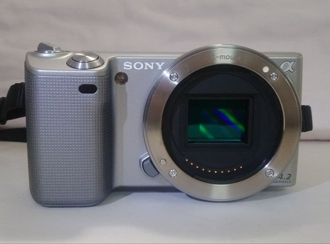SONY NEX-5 シルバー ミラーレス一眼 本体と付属品の通販はau PAY