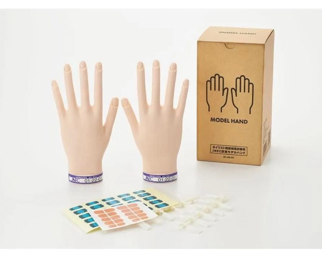 認定モデルハンド 新品未使用 STモデルハンド セット（JNEC 第1期認定モデルハンド）の卸・通販