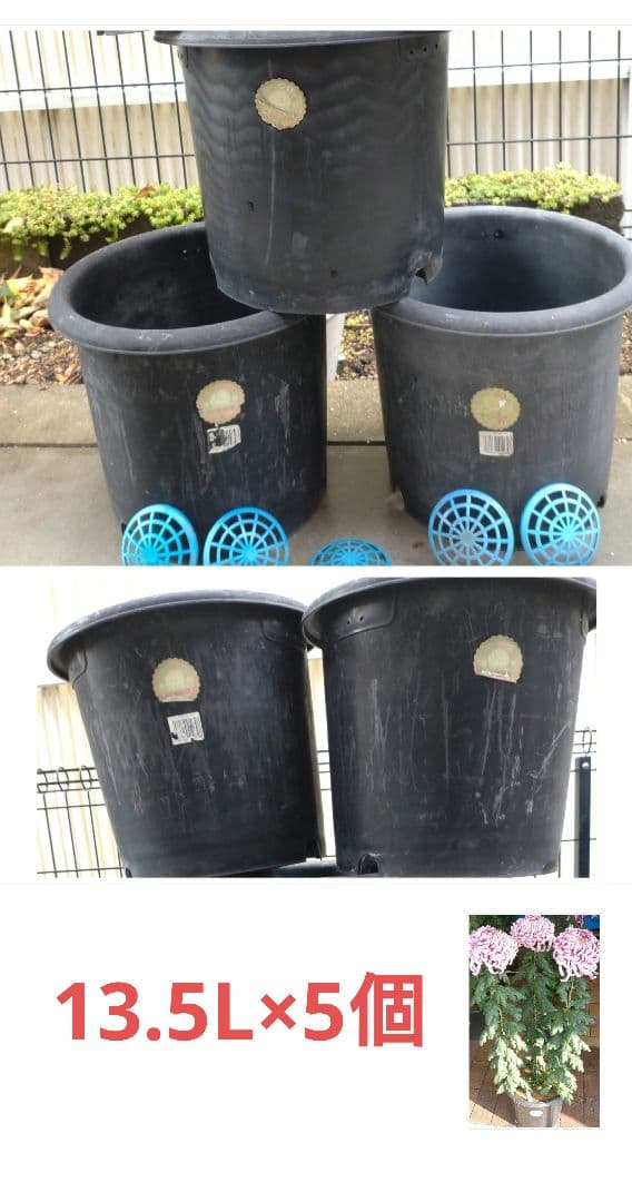 菊鉢 鉢 植木鉢 9号 13.5L 5個セット 鉢底付き - メルカリ