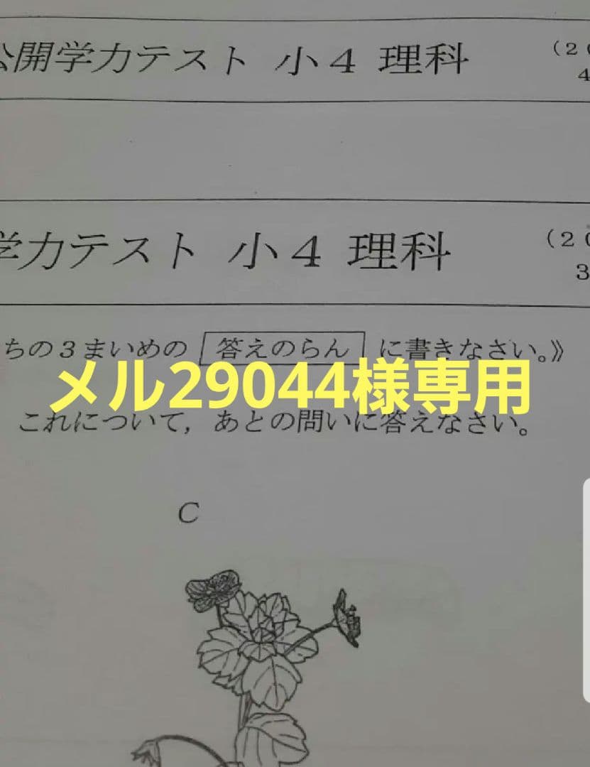 メル29044 Men's Monaco - White/Tigerlily