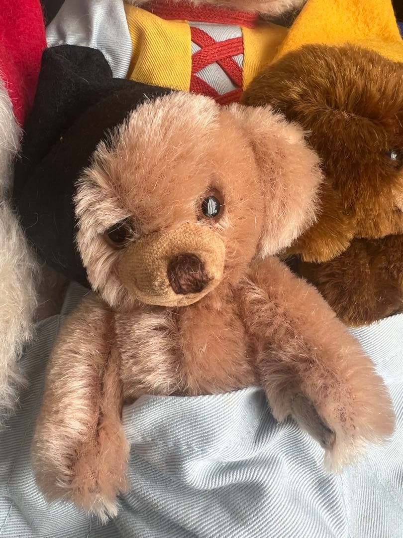 メリーソート⭐︎チーキーシリアルナンバー10 - メルカリ