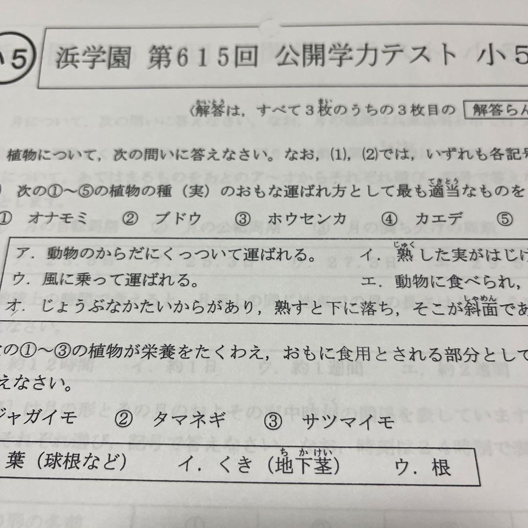 2024年度 浜学園小5 公開学力テスト 理科1年分 - メルカリ