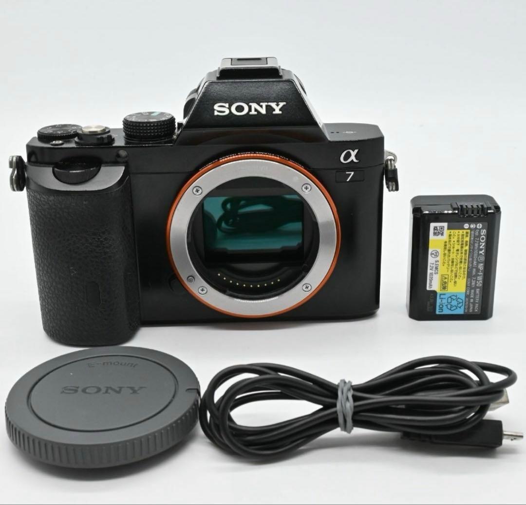 SONY α7 ILCE-7 ボディ ショット数 11312回 - メルカリ