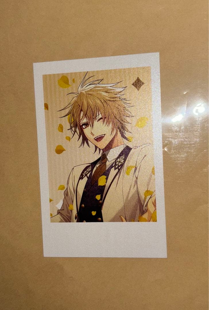 AMNESIA アムネシア 10th パールフォトカード パルカ レアコンプ