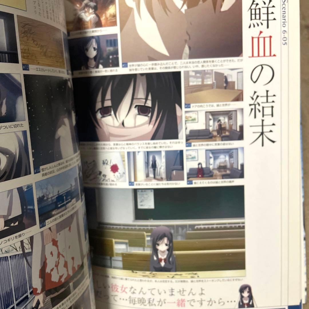 2冊セット】Schooldays、Summerdaysビジュアル・ガイドブック - メルカリ