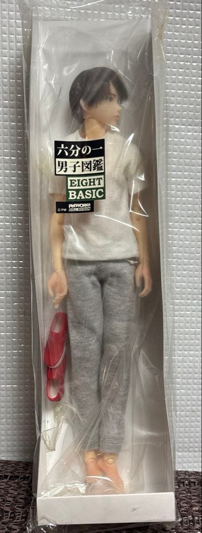 PetWORKs 六分の一男子図鑑 エイト basic - メルカリ