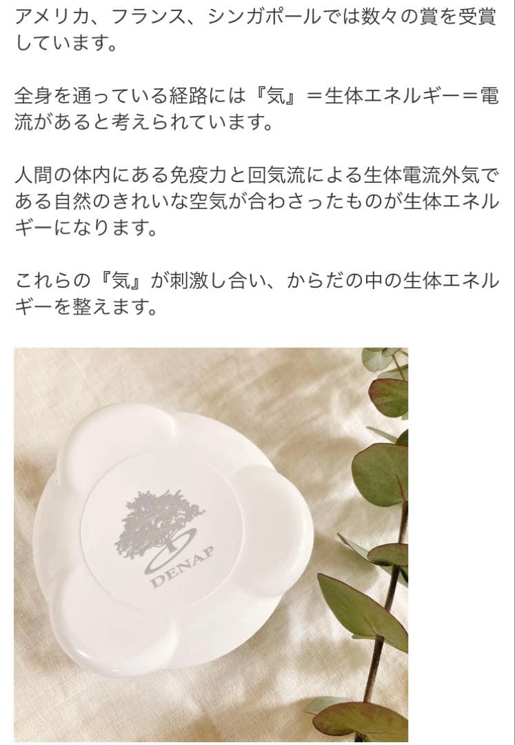 キママクラブ　kaiki-ryu（回帰流）