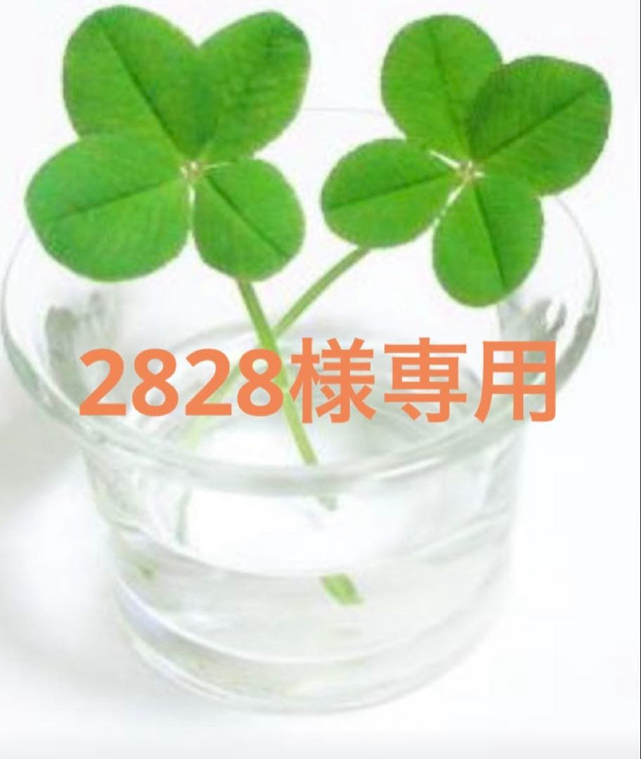 化粧水・ローション・トナー 2828 化粧水・ローション・トナー rie.s 化粧水・ローション・トナー sysy