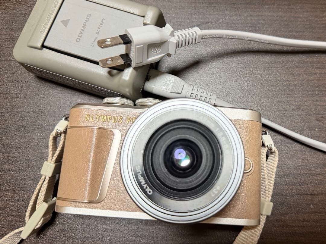 OLYMPUS PEN E-PL10 ブラウン オリンパス OLYMPUS PEN E-PL10 EZダブルズームキット [ブラウン] 価格