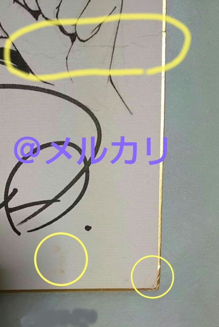 星野架名 直筆イラスト入り サイン色紙 緑野原学園シリーズ 今西弘樹