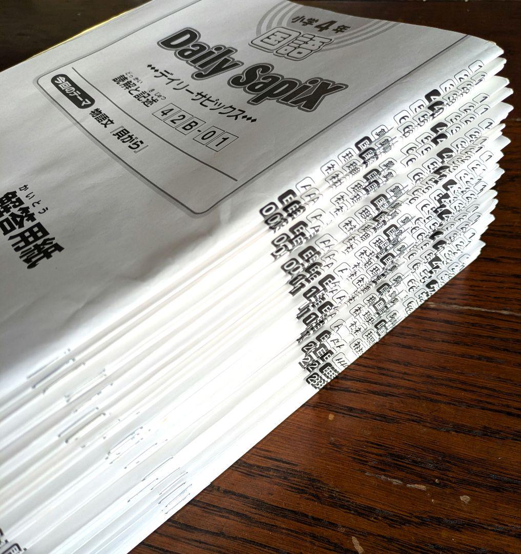 デイリーサピックス 4年生 国語 B教材セット 通常レッスン 1年分 処理済